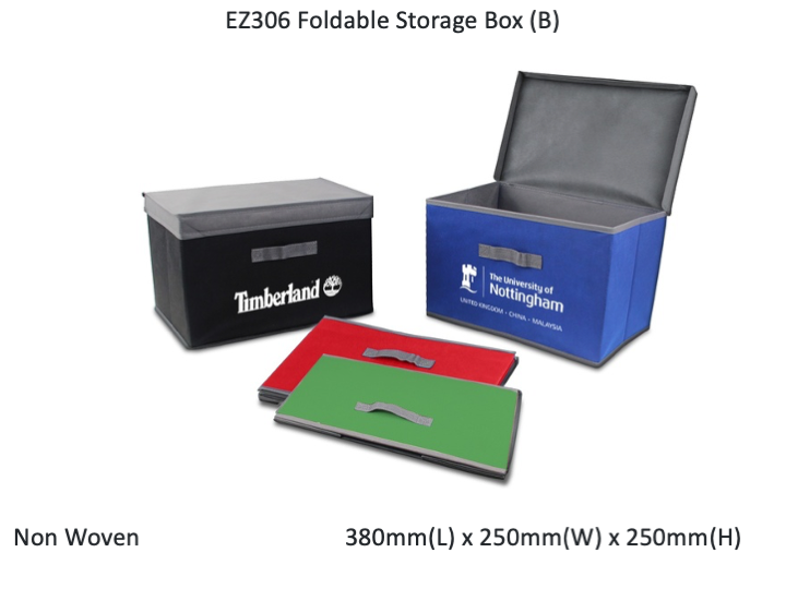 Foldable Storage Box(B)