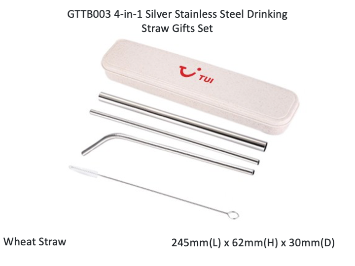 4-in-1 Silver Stainless Steel Drinking Straw Gifts Set