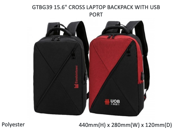 15.6" CROSS Laptop Backpack with USB Port