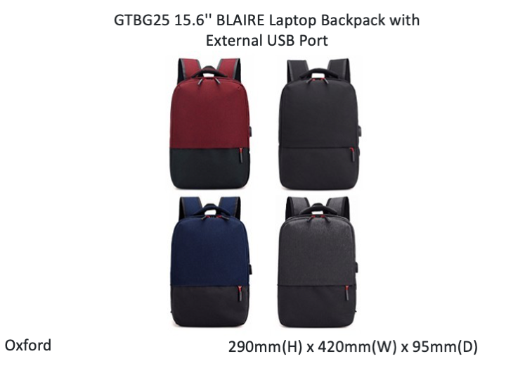 15.6'' BLAIRE Laptop Backpack with External USB Port